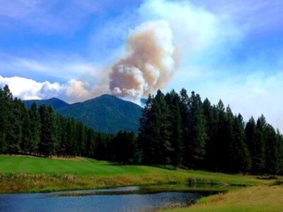 A Season of Drought and Wildfire Changed My Food Preserving Image